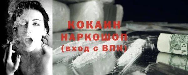 хмурый Абаза