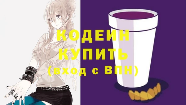 прущие грибы Новозыбков
