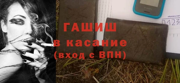 хмурый Абаза