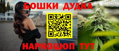 стаф Лесосибирск