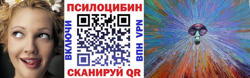 хочу наркоту  Сальск  Галлюциногенные грибы прущие грибы 