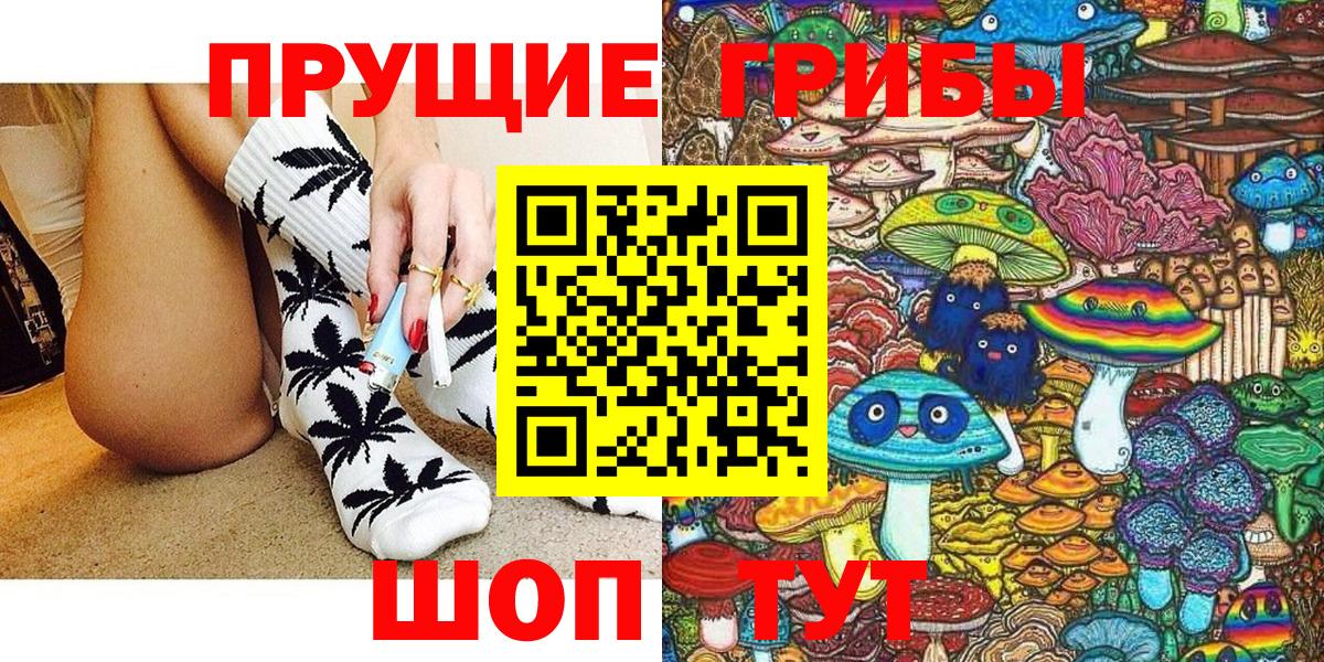 купить   Галлюциногенные грибы Magic Shrooms  Вход с VPN  Сальск  Псилоцибиновые грибы Cubensis 
