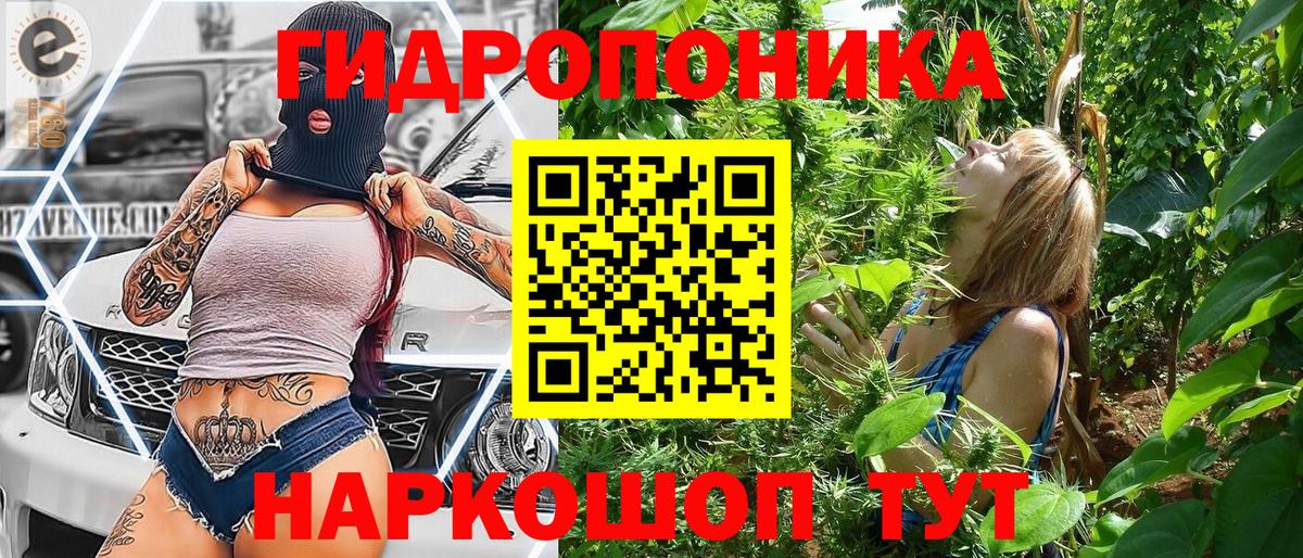 Конопля индика Сальск